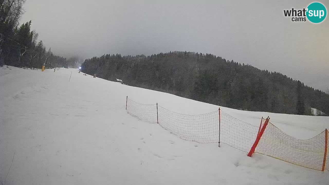 RTC Skigebiet Kranjska Gora | Brsnina