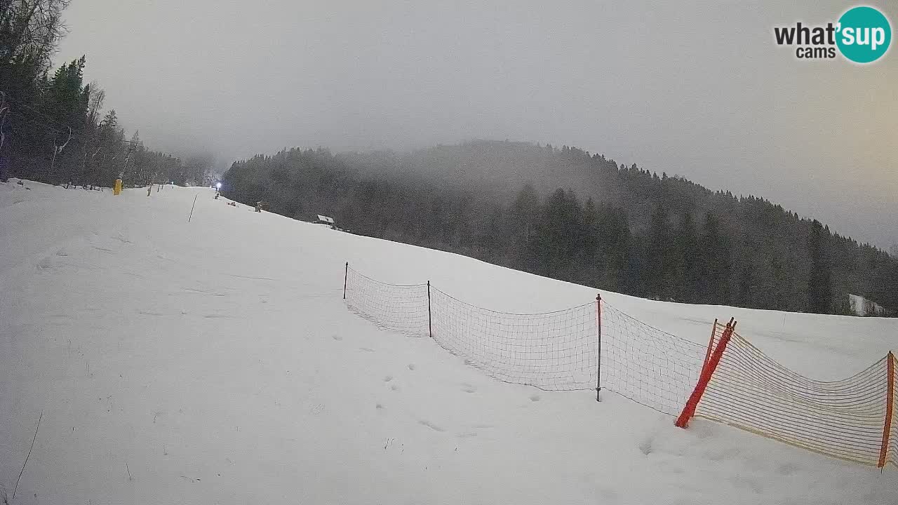 Kranjska Gora Station de ski | Brsnina