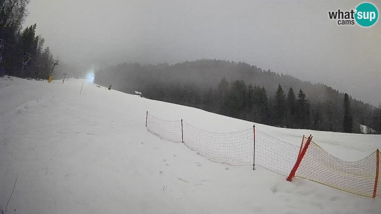 Comprensorio sciistico Kranjska Gora | Brsnina