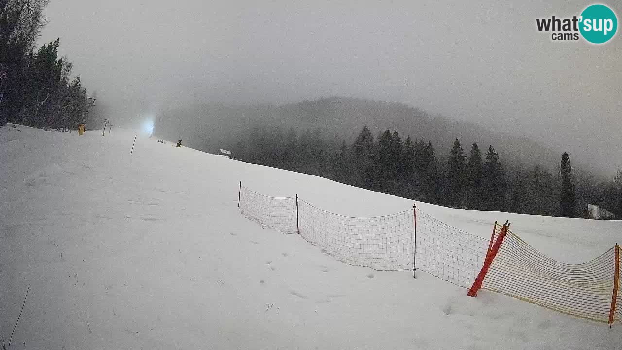 RTC Skigebiet Kranjska Gora | Brsnina