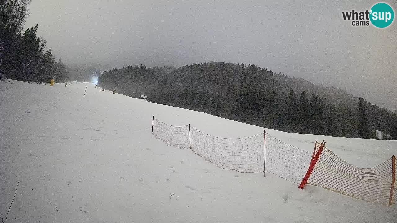 Kranjska Gora SKIJANJE | Brsnina