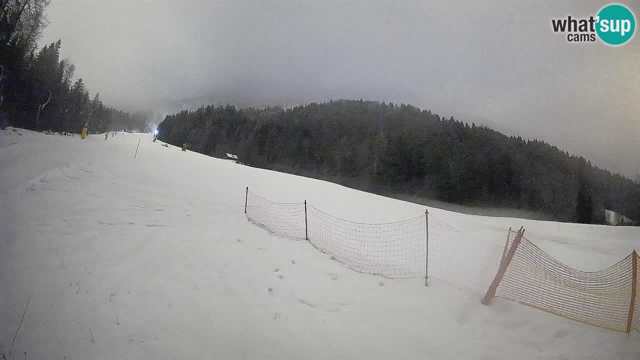 Ski Kranjska Gora | Brsnina