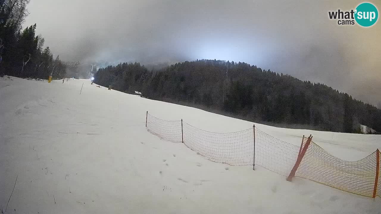 RTC Skigebiet Kranjska Gora | Brsnina