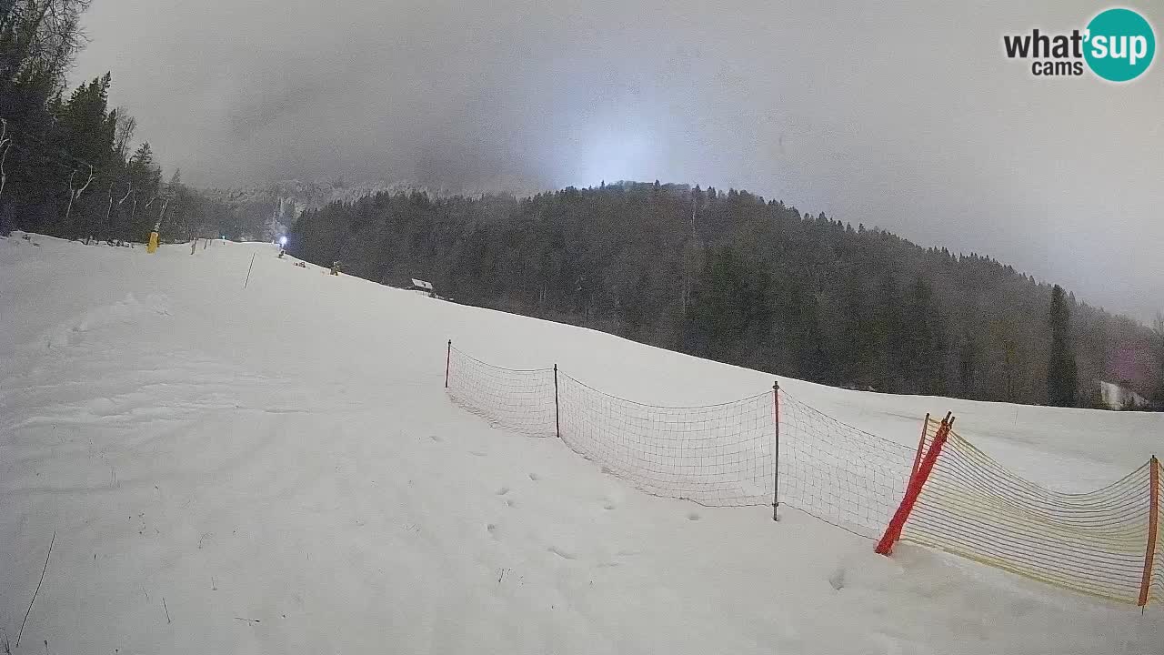 Comprensorio sciistico Kranjska Gora | Brsnina