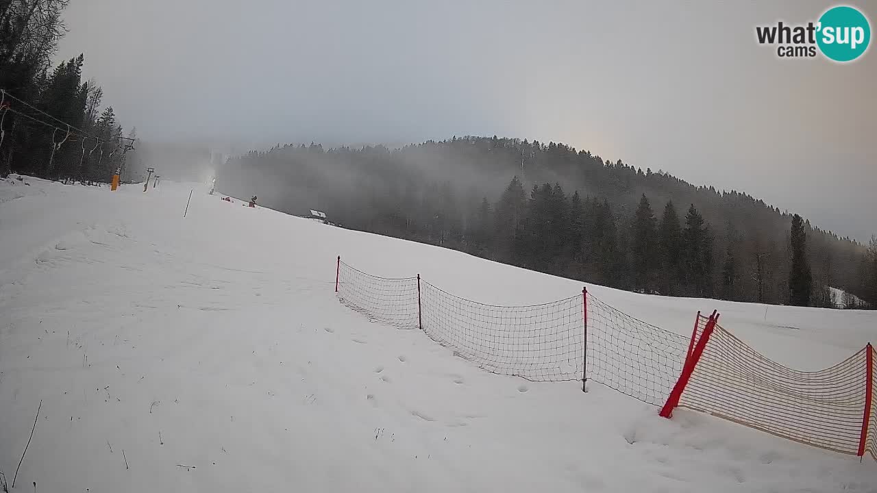 RTC Skigebiet Kranjska Gora | Brsnina