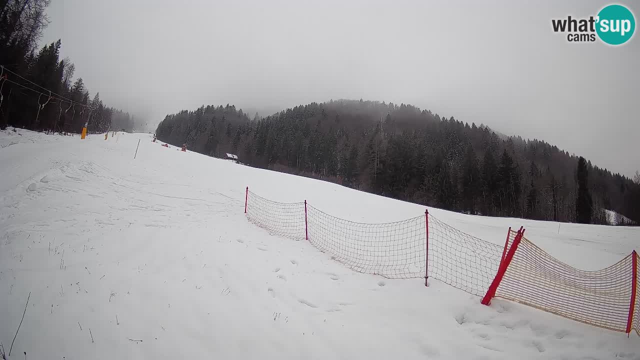 RTC Skigebiet Kranjska Gora | Brsnina