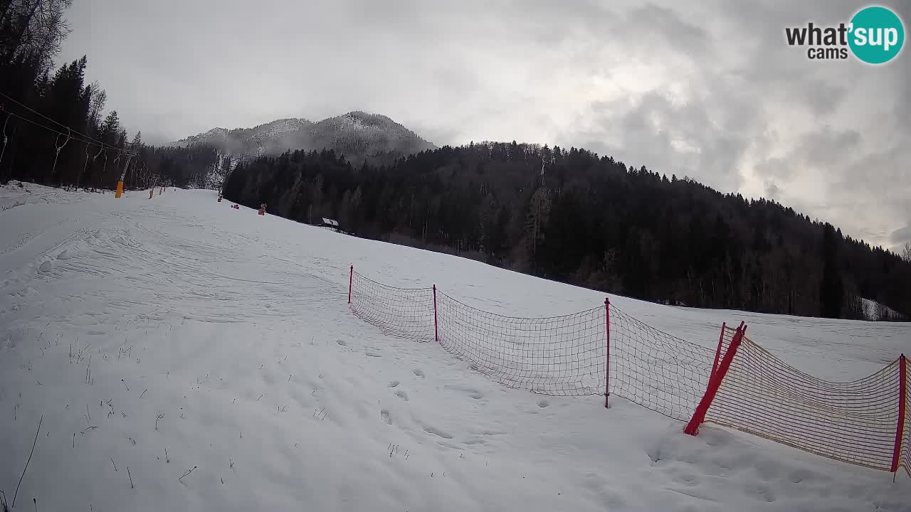 Kranjska Gora Station de ski | Brsnina