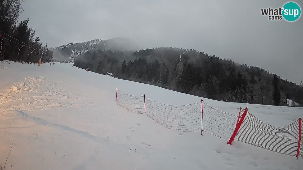 Kranjska Gora Station de ski | Brsnina