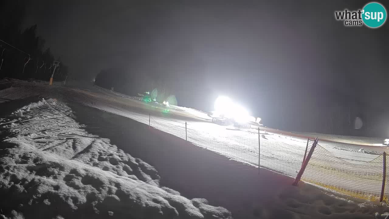 Kranjska Gora Station de ski | Brsnina