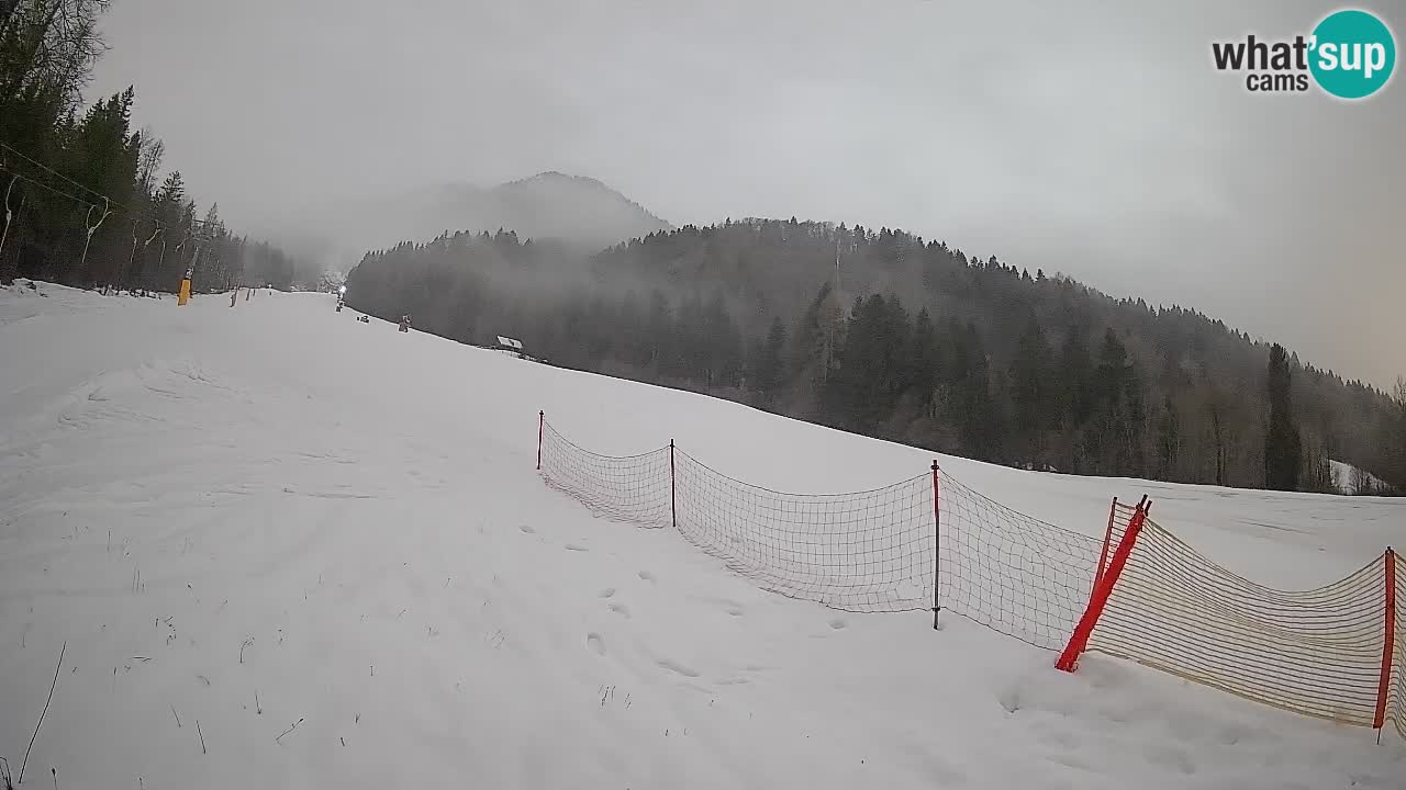 Kranjska Gora Station de ski | Brsnina