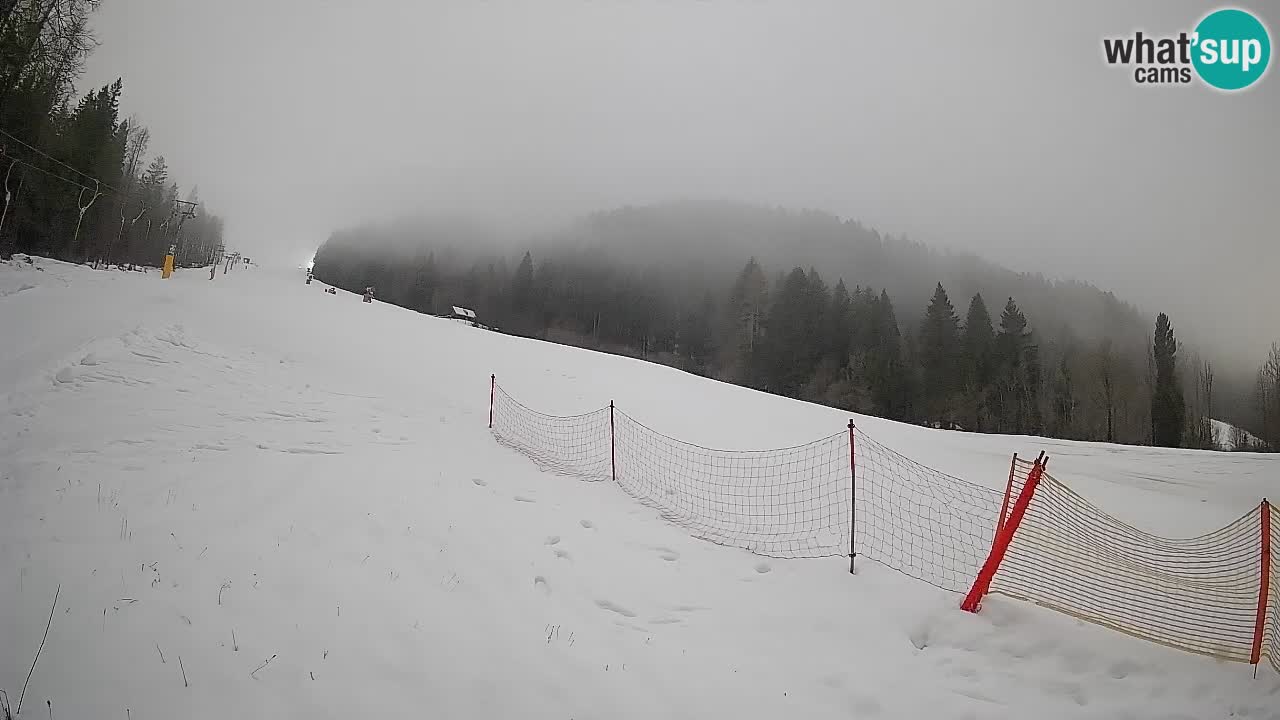 Kranjska Gora Station de ski | Brsnina
