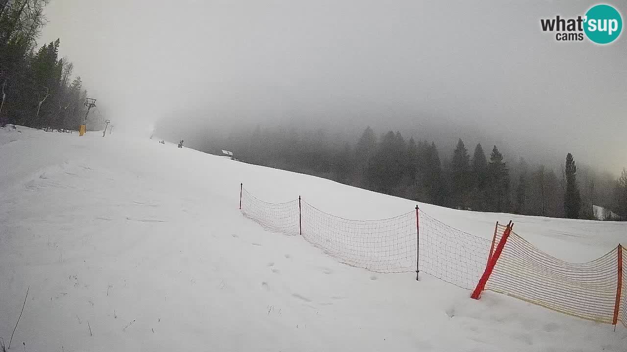 RTC Skigebiet Kranjska Gora | Brsnina