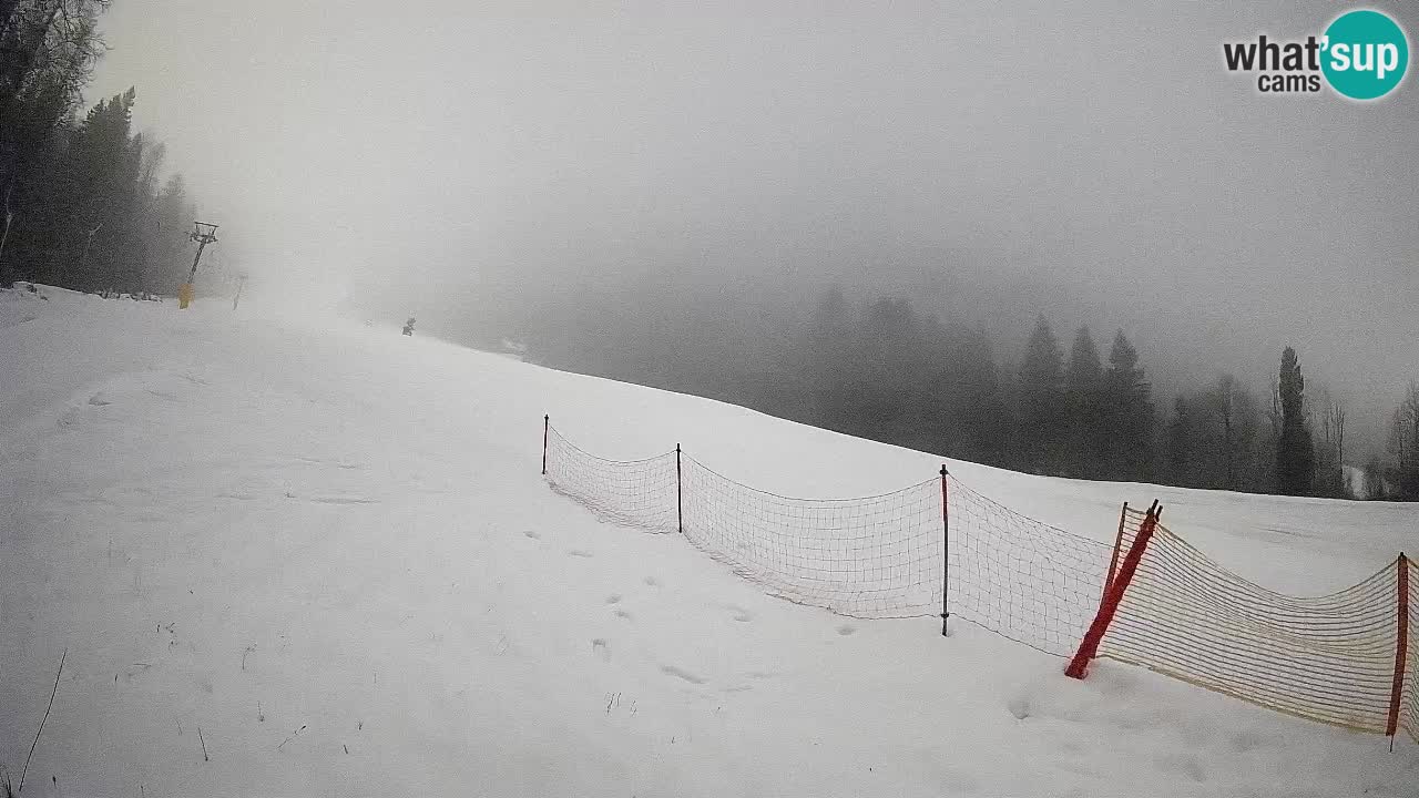RTC Skigebiet Kranjska Gora | Brsnina