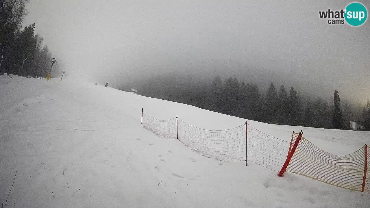 RTC Skigebiet Kranjska Gora | Brsnina