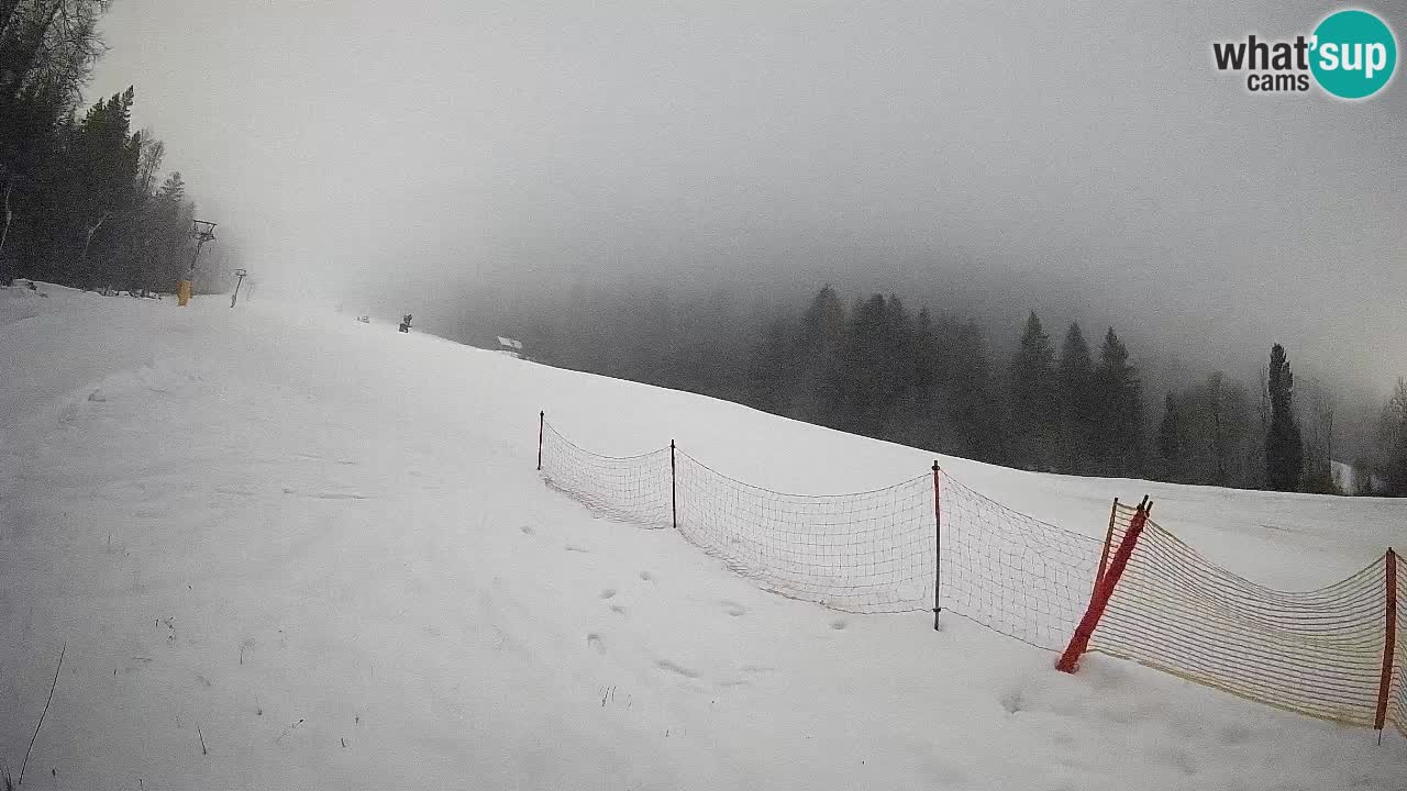 RTC Skigebiet Kranjska Gora | Brsnina
