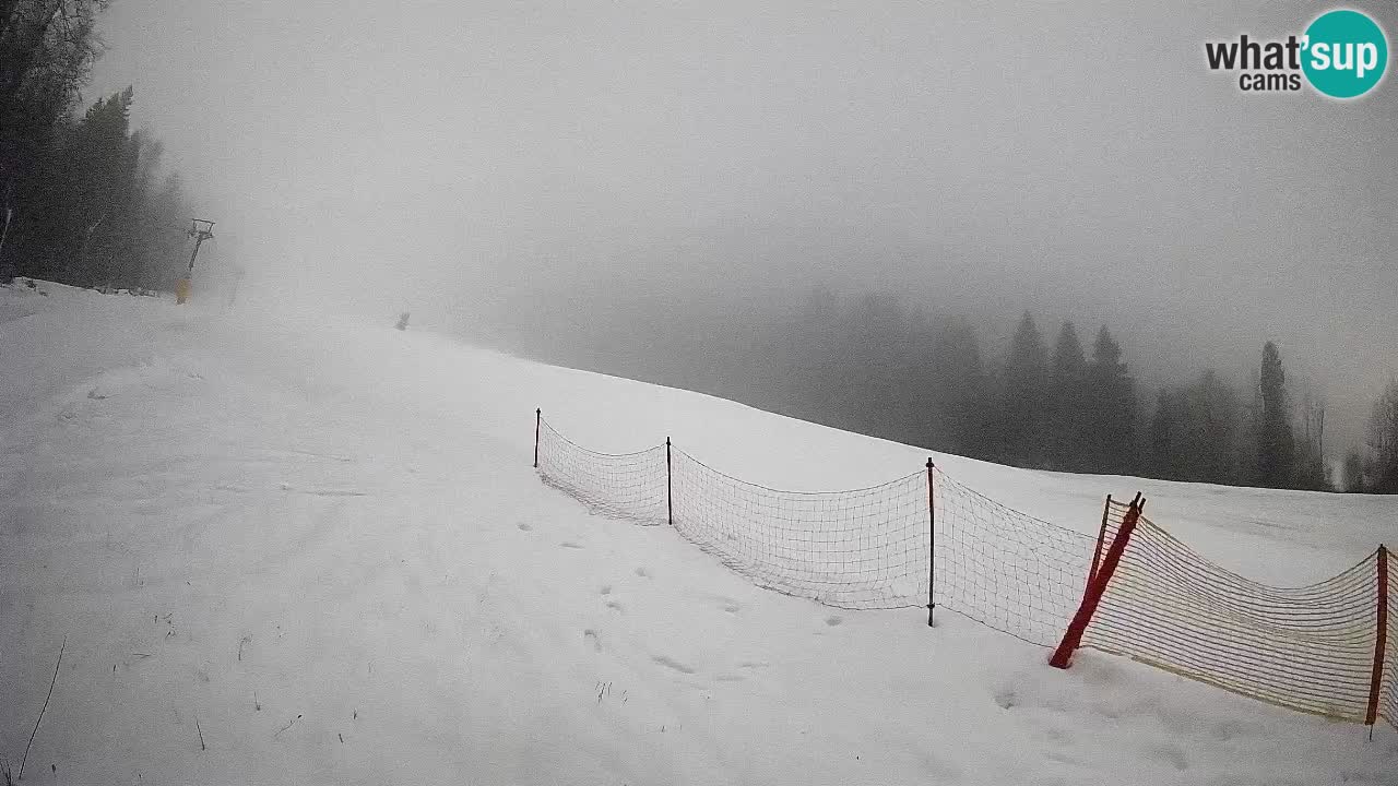 Ski Kranjska Gora | Brsnina