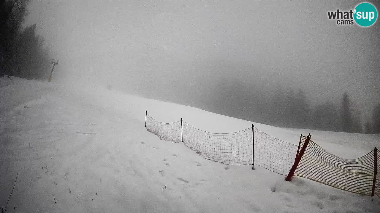 Kranjska Gora Station de ski | Brsnina