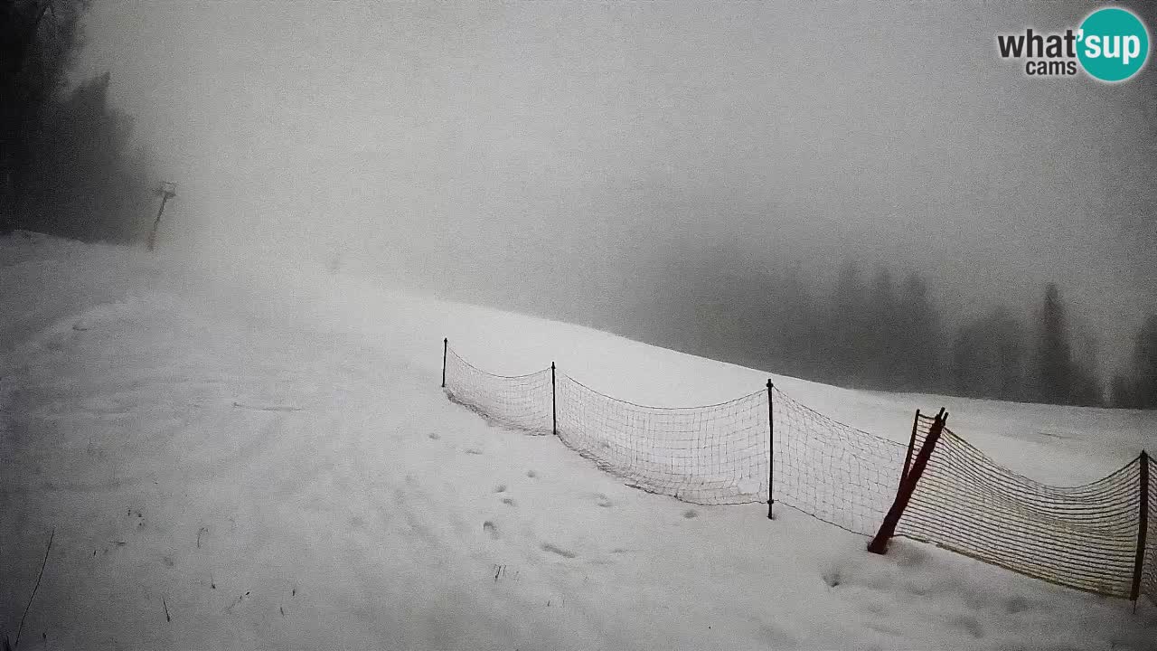 Ski Kranjska Gora | Brsnina