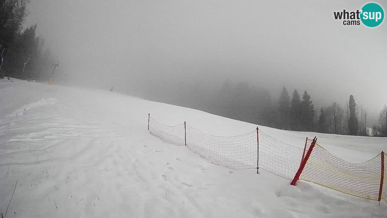 Esquí Kranjska Gora | Brsnina