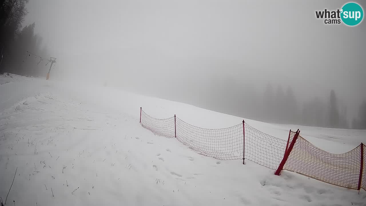 Ski Kranjska Gora | Brsnina