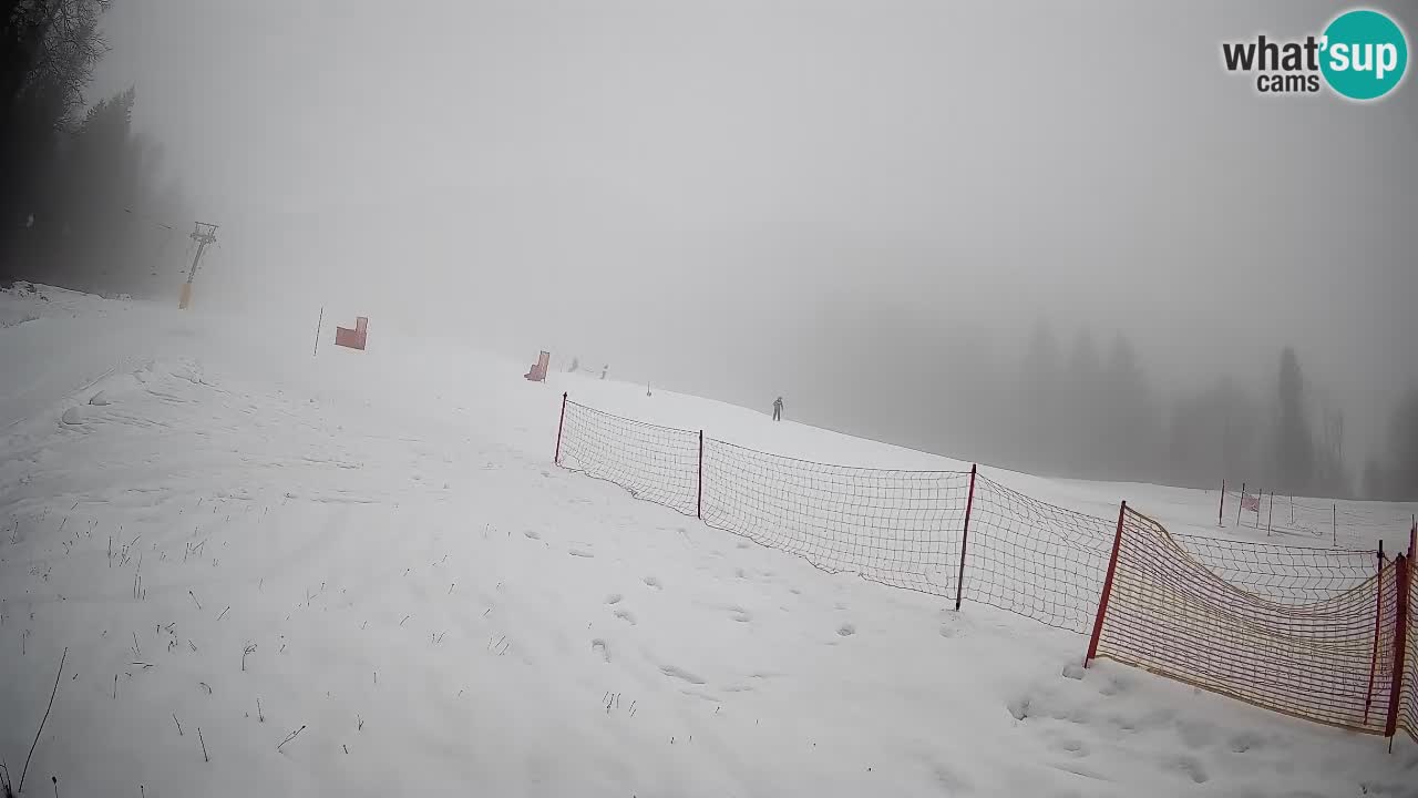 Ski Kranjska Gora | Brsnina