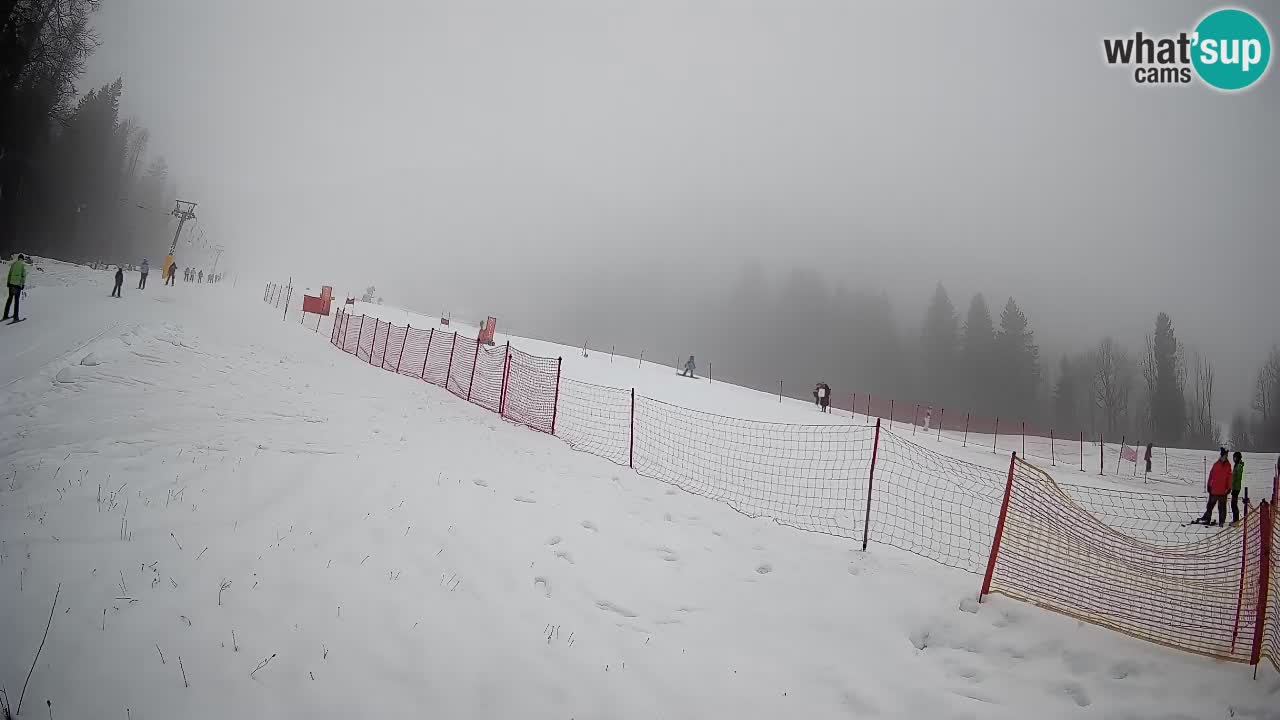 Ski Kranjska Gora | Brsnina