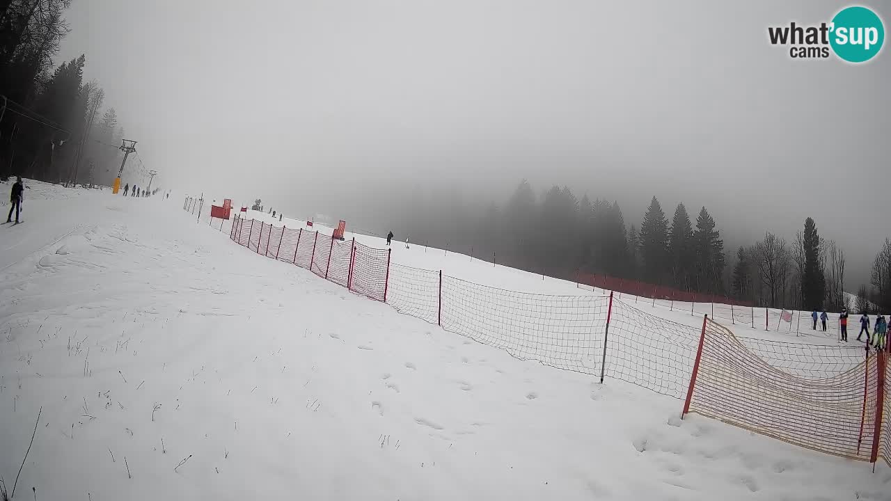RTC Skigebiet Kranjska Gora | Brsnina