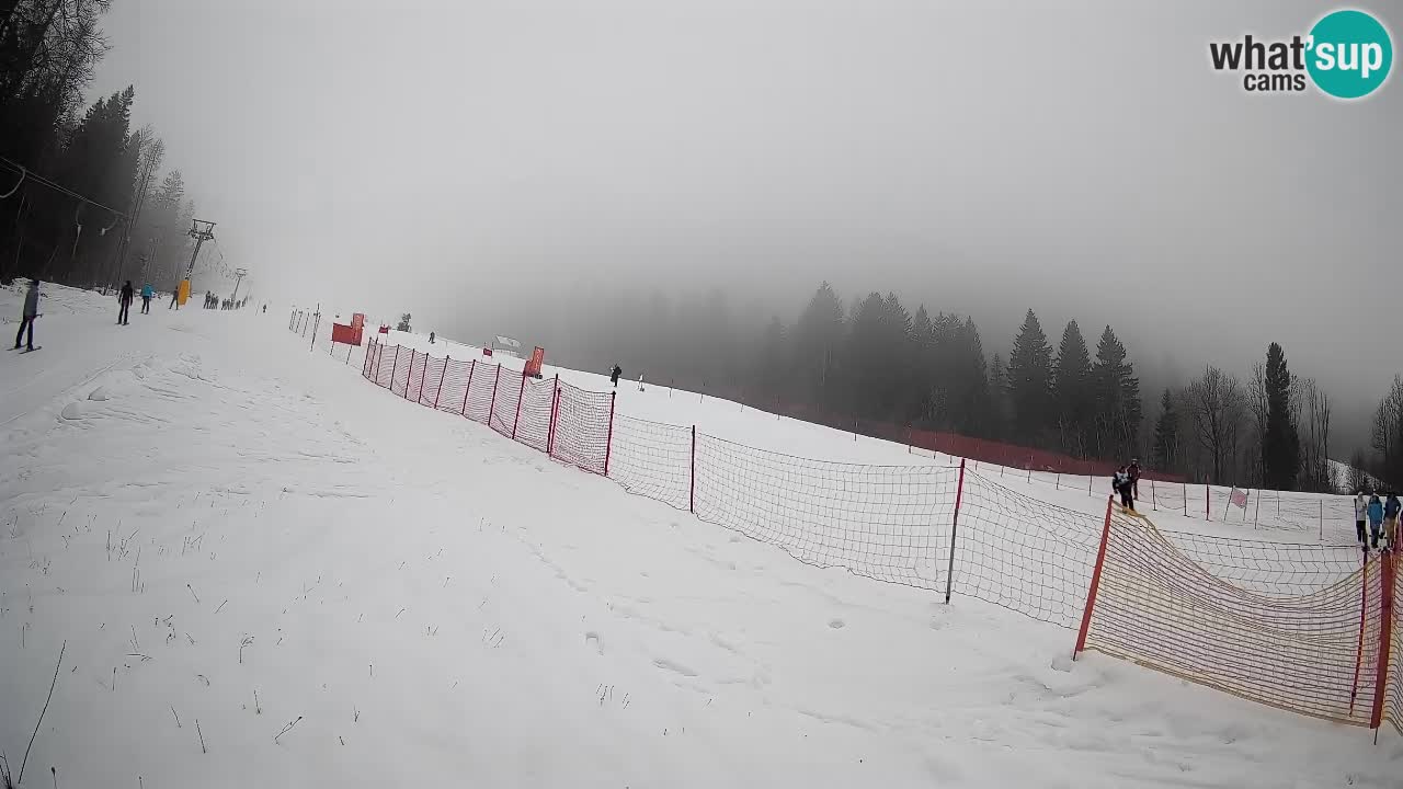 Esquí Kranjska Gora | Brsnina