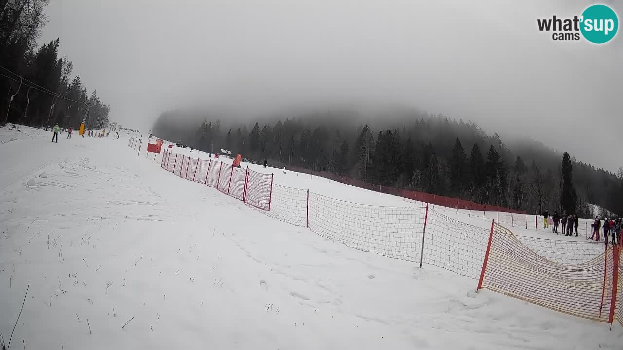 Ski Kranjska Gora | Brsnina