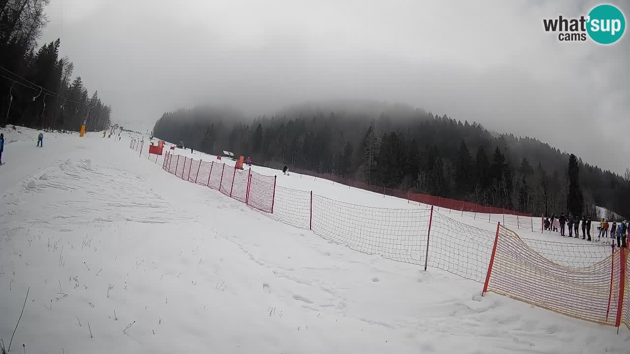Esquí Kranjska Gora | Brsnina