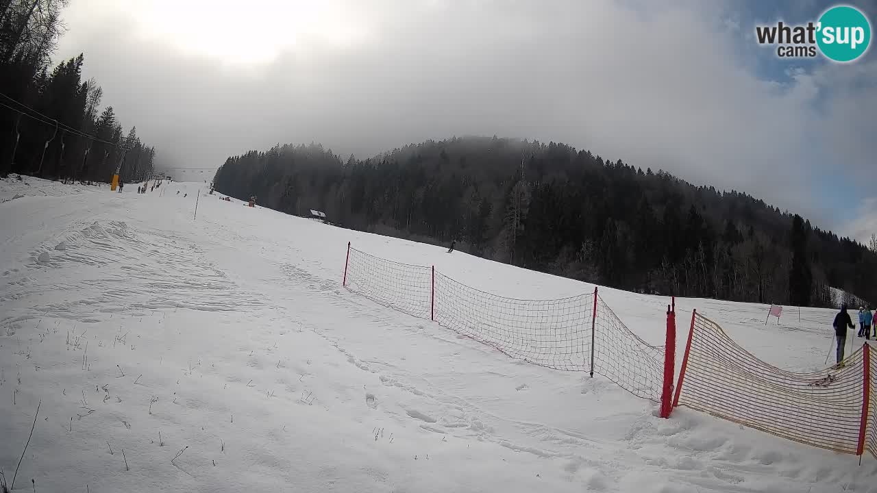 Comprensorio sciistico Kranjska Gora | Brsnina