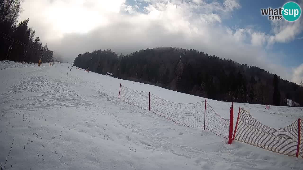 Esquí Kranjska Gora | Brsnina