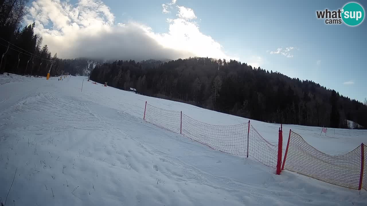 Comprensorio sciistico Kranjska Gora | Brsnina