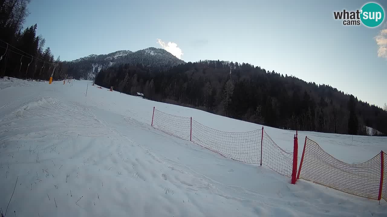 Ski Kranjska Gora | Brsnina
