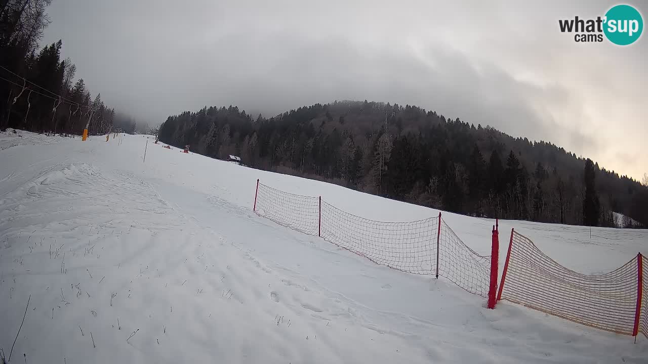 Comprensorio sciistico Kranjska Gora | Brsnina