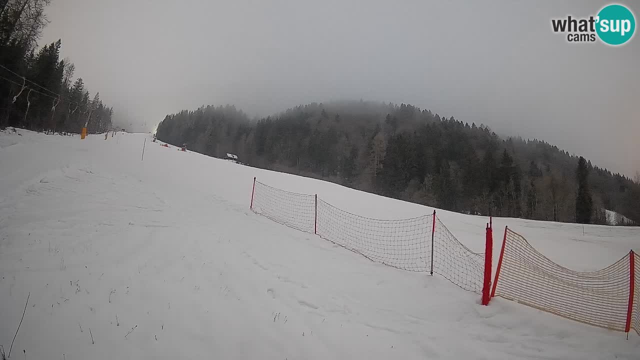 Ski Kranjska Gora | Brsnina