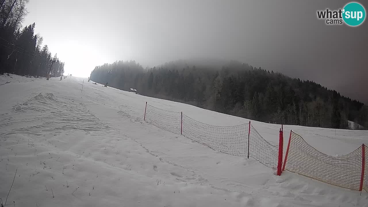 RTC Skigebiet Kranjska Gora | Brsnina