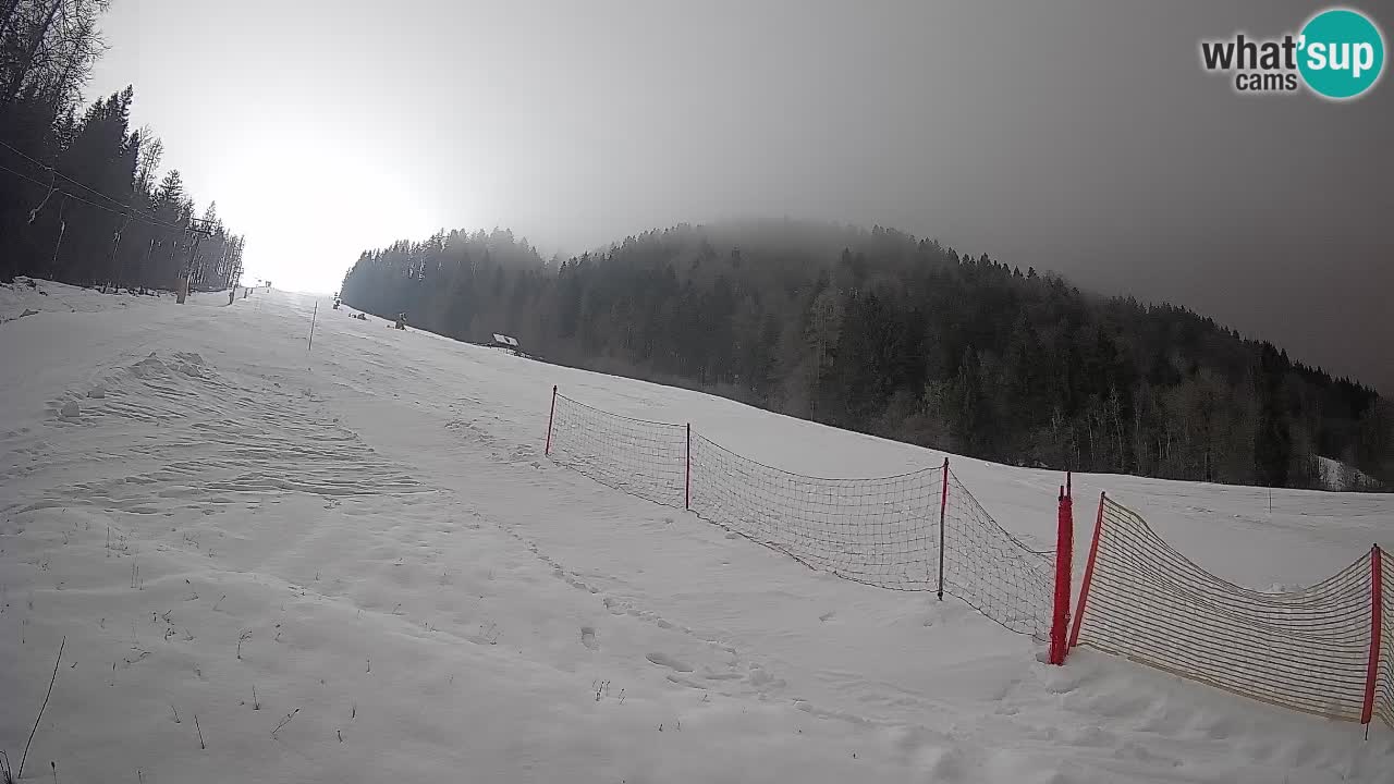 Ski Kranjska Gora | Brsnina