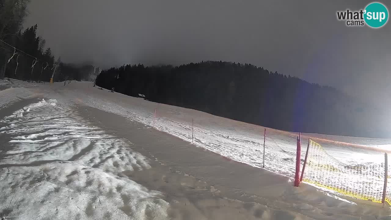 Esquí Kranjska Gora | Brsnina