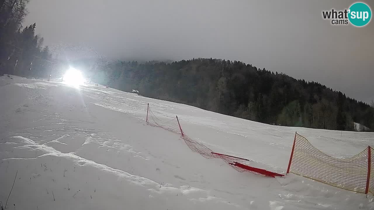 Esquí Kranjska Gora | Brsnina