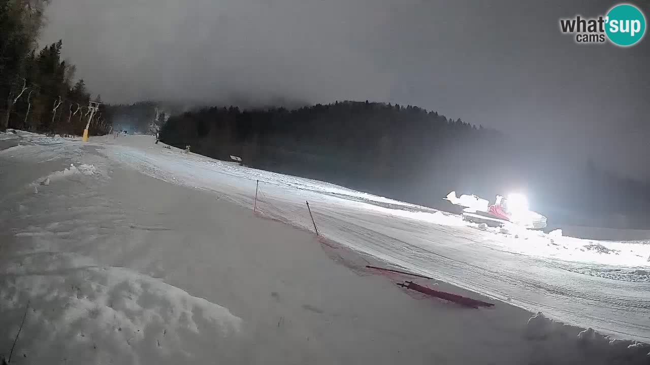 Kranjska Gora Station de ski | Brsnina