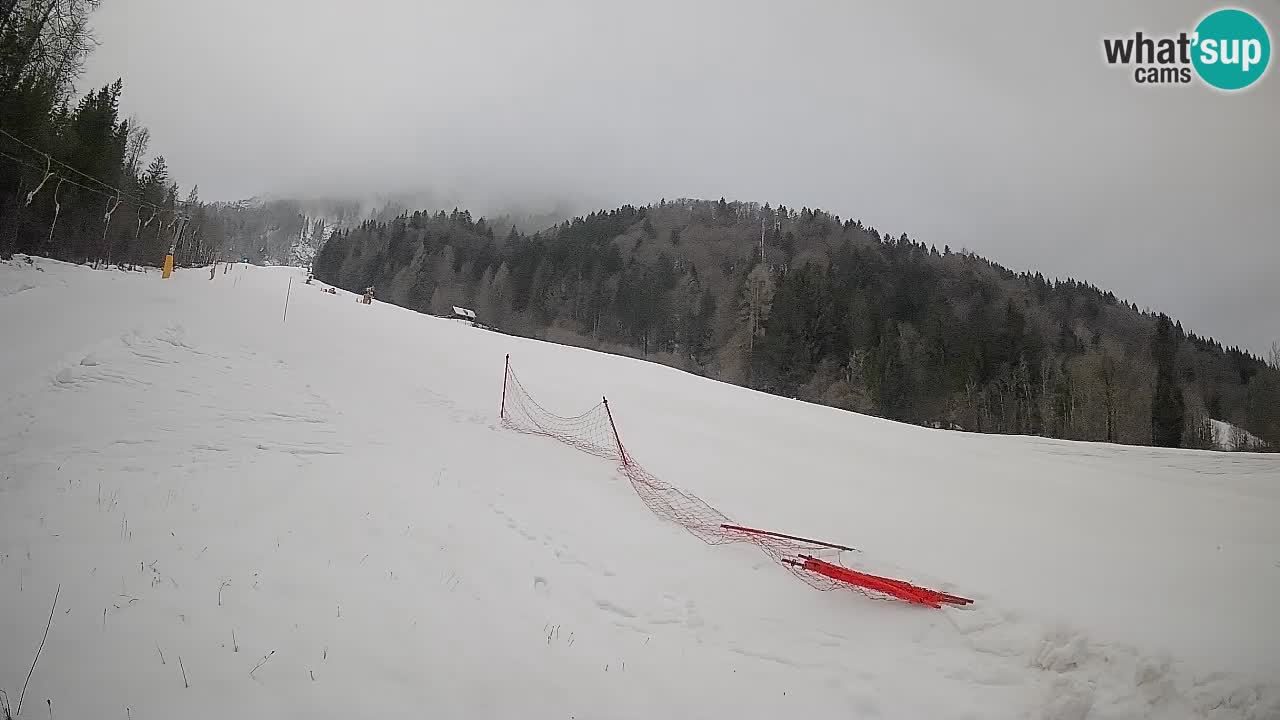 Esquí Kranjska Gora | Brsnina