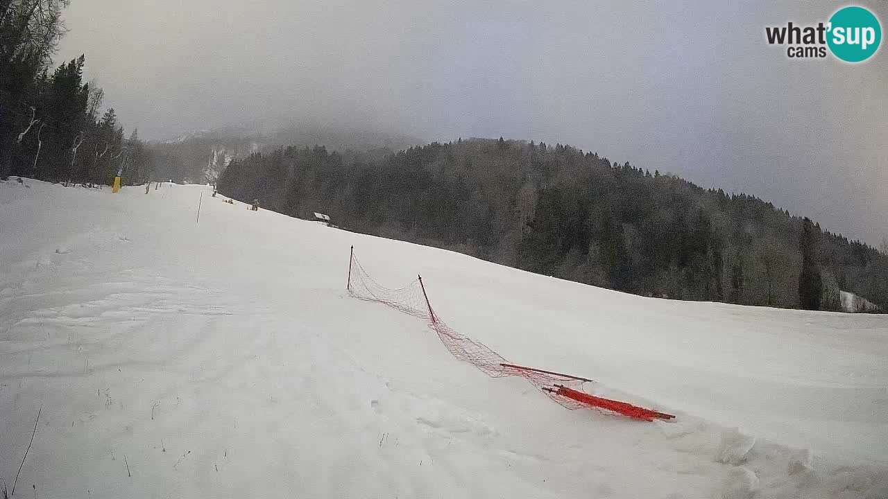 Kranjska Gora SKIJANJE | Brsnina