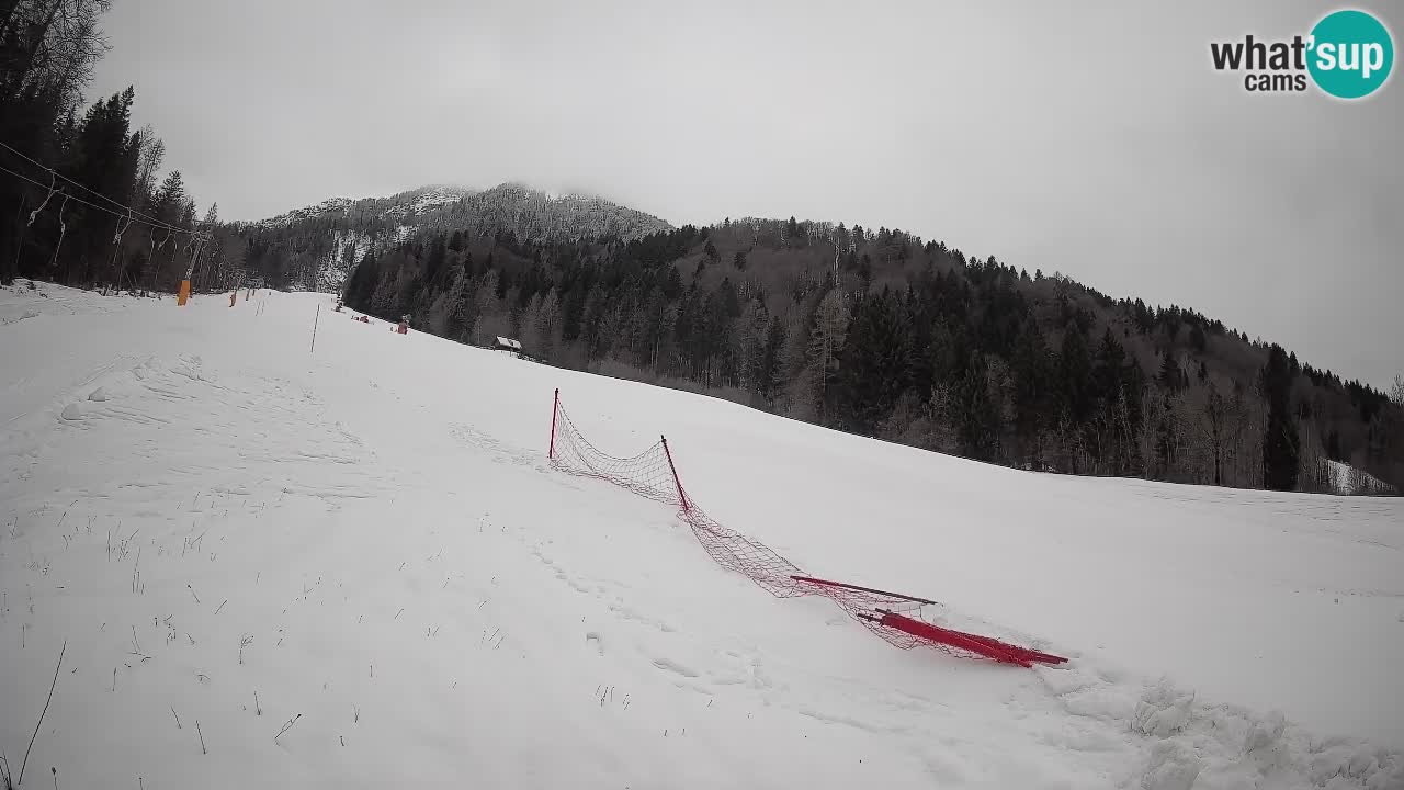 Kranjska Gora SKIJANJE | Brsnina