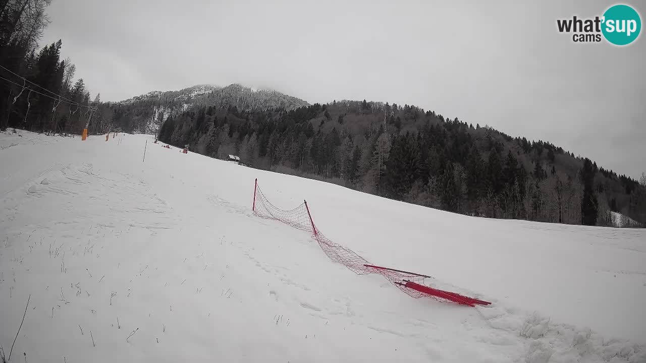 Kranjska Gora SKIJANJE | Brsnina