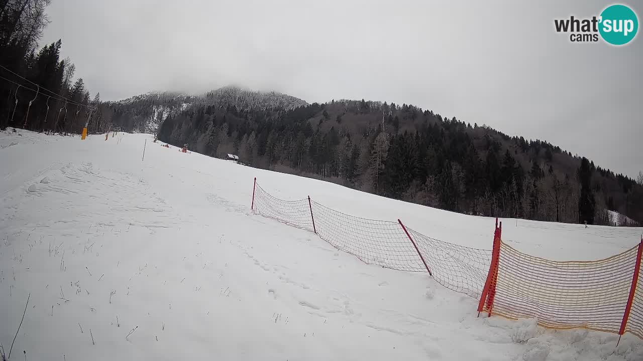 Esquí Kranjska Gora | Brsnina