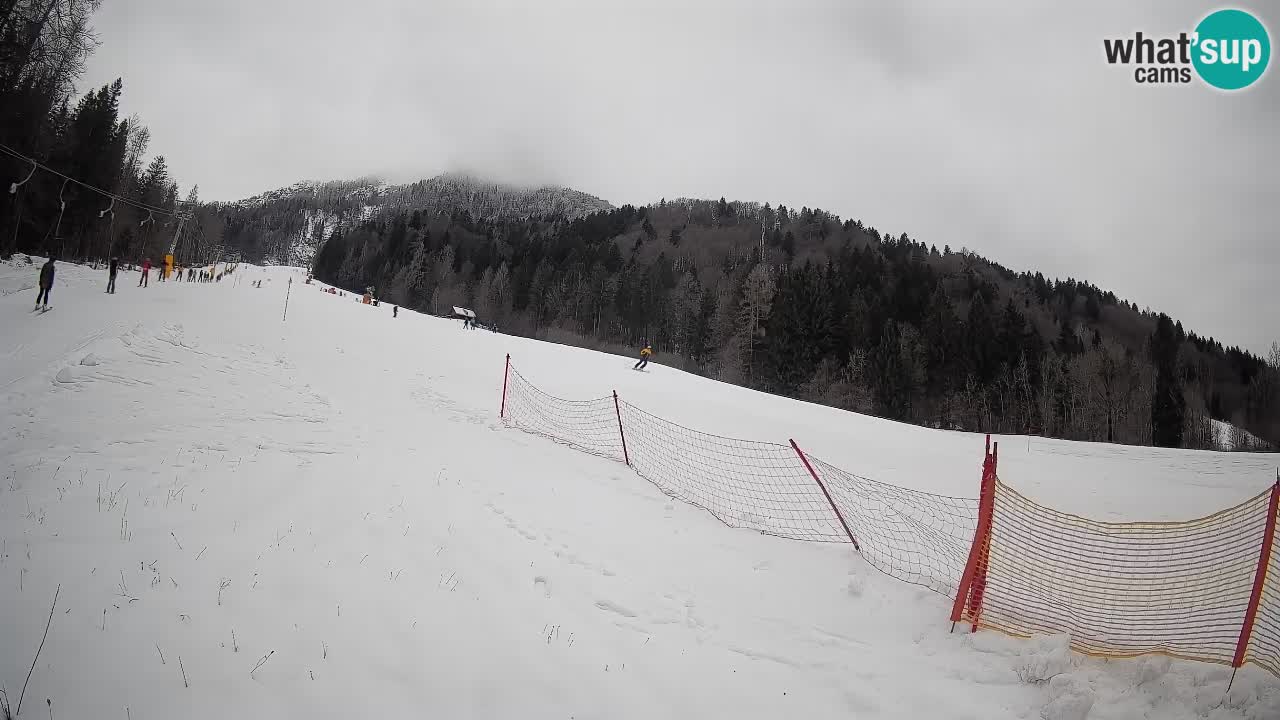 Esquí Kranjska Gora | Brsnina
