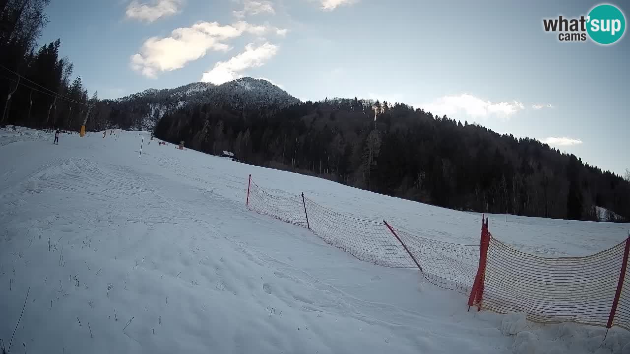 RTC Kranjska Gora | Brsnina