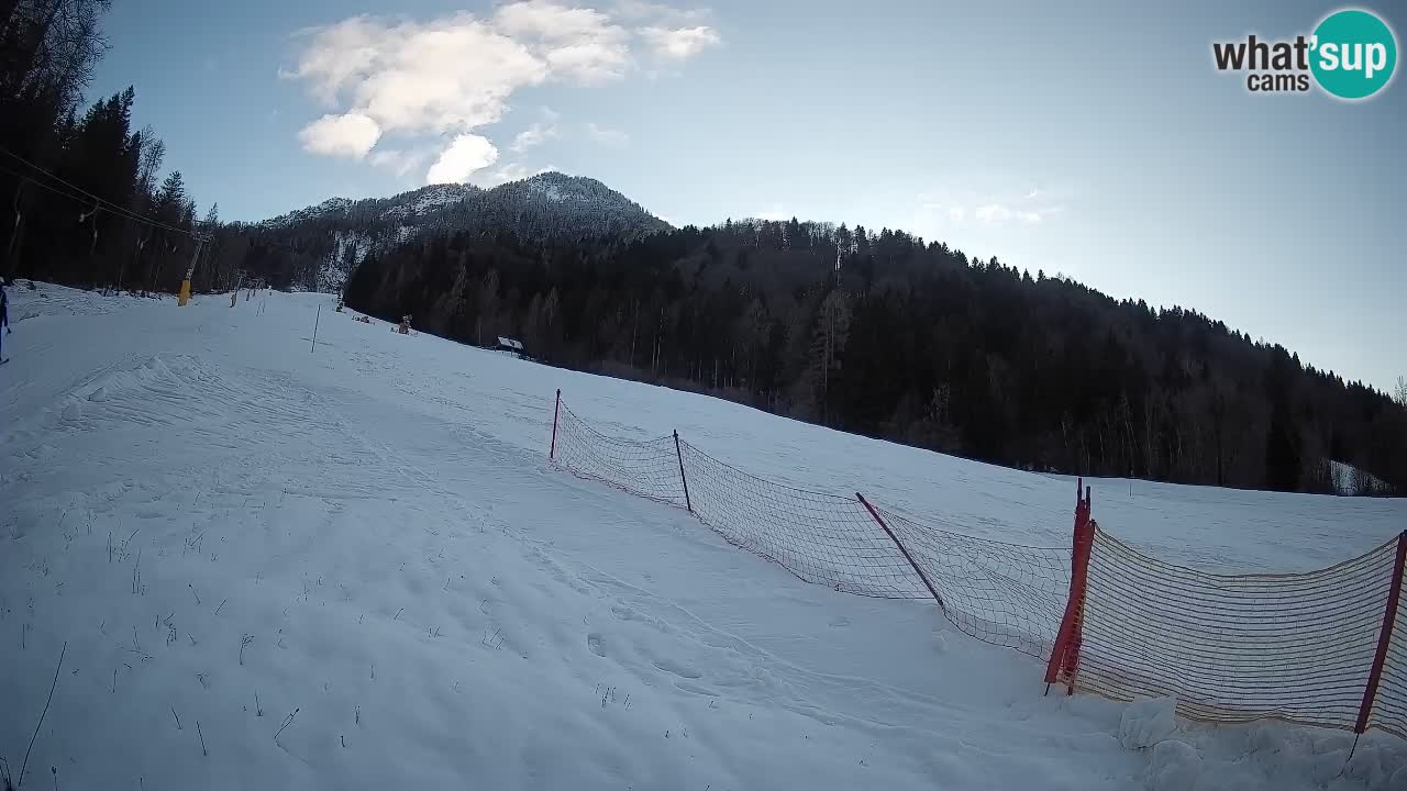 Kranjska Gora Station de ski | Brsnina