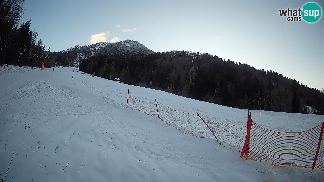 Kranjska Gora Station de ski | Brsnina